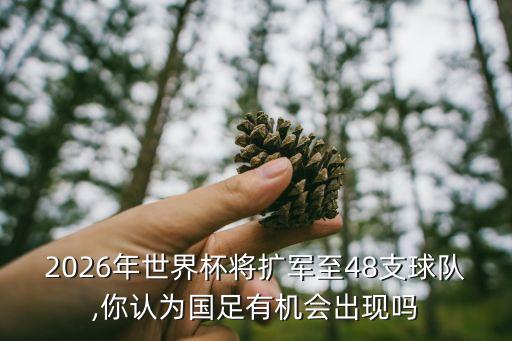 2026年世界杯將擴軍至48支球隊,你認(rèn)為國足有機會出現(xiàn)嗎