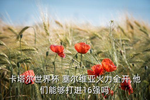塞爾維亞國家足球隊(duì)實(shí)力