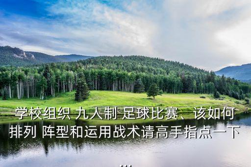 學(xué)校組織 九人制 足球比賽、該如何排列 陣型和運用戰(zhàn)術(shù)請高手指點一下...