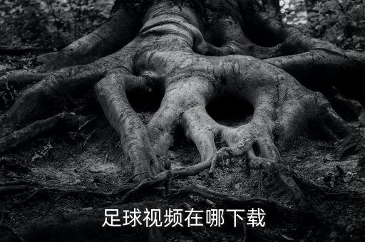 足球錄像哪個網(wǎng)站看,足球在哪個網(wǎng)站上買