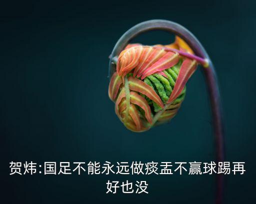 賀煒:國足不能永遠(yuǎn)做痰盂不贏球踢再好也沒