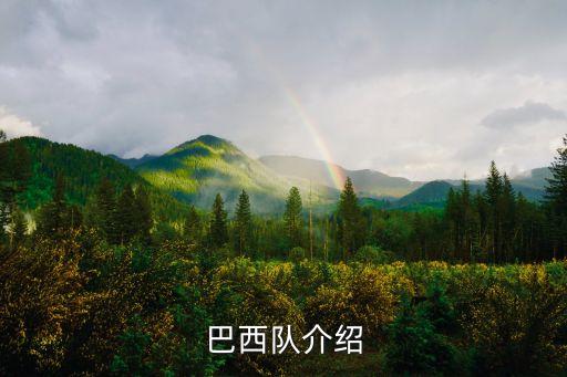 巴西隊介紹