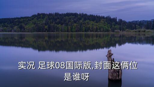  實(shí)況 足球08國(guó)際版,封面這倆位是誰(shuí)呀