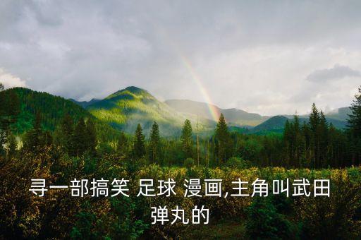 有關(guān)足球的漫畫(huà),足球世界杯漫畫(huà)
