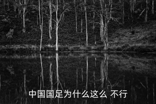 為什么中國足球隊(duì)不行,中國足球隊(duì)工資為什么這么高