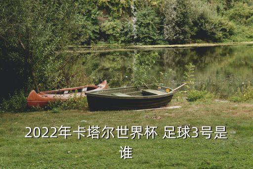 2022年卡塔爾世界杯 足球3號(hào)是誰(shuí)