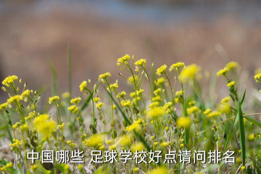 中國(guó)哪些 足球?qū)W校好點(diǎn)請(qǐng)問(wèn)排名