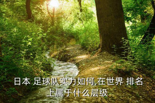 日本 足球隊(duì)實(shí)力如何,在世界 排名上屬于什么層級