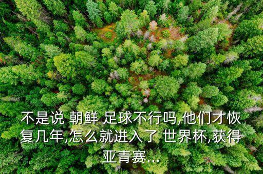 世界杯朝鮮足球,朝鮮進(jìn)過世界杯嗎