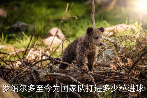 羅納爾多至今為國家隊打進多少粒進球