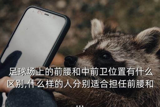 足球在中衛(wèi),足球中衛(wèi)的位置和打法