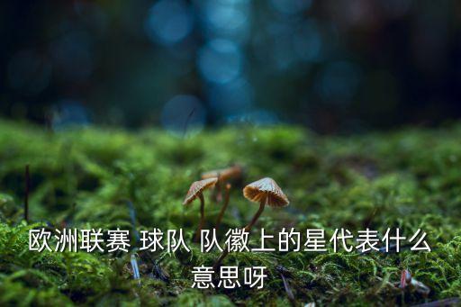 歐洲聯(lián)賽 球隊(duì) 隊(duì)徽上的星代表什么意思呀
