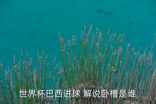 世界杯巴西進(jìn)球 解說臥槽是誰