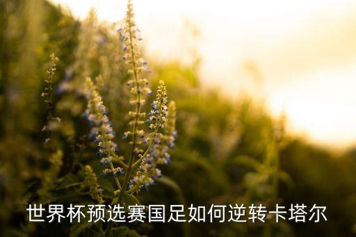 世界杯預(yù)選賽國足如何逆轉(zhuǎn)卡塔爾