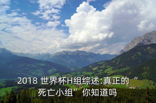 世界杯2018波蘭足球隊(duì)預(yù)選賽,波蘭足球隊(duì)世界杯排名