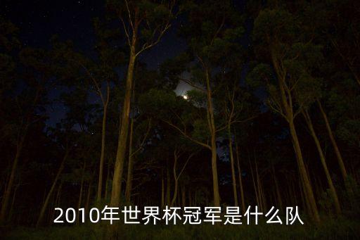 2010年世界杯冠軍是什么隊
