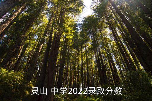 海南省靈山中學足球,?？谑徐`山中學足球