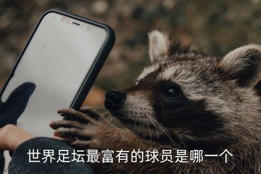 世界足壇最富有的球員是哪一個