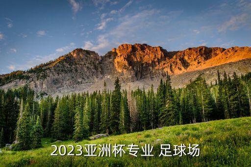 2023亞洲杯專業(yè) 足球場