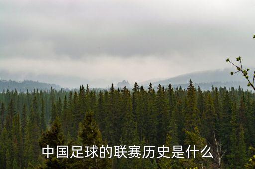 中國(guó)足球隊(duì)黑色3分鐘