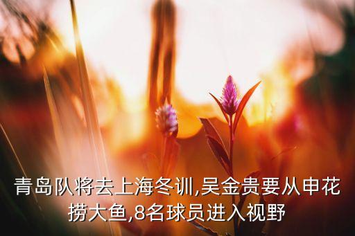 青島隊將去上海冬訓,吳金貴要從申花撈大魚,8名球員進入視野