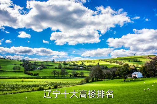 渾南足球大廈,沈陽(yáng)渾南大廈都有哪些