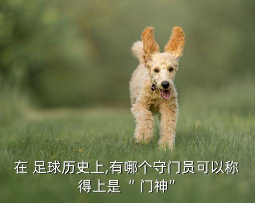 在 足球歷史上,有哪個(gè)守門(mén)員可以稱得上是“ 門(mén)神”