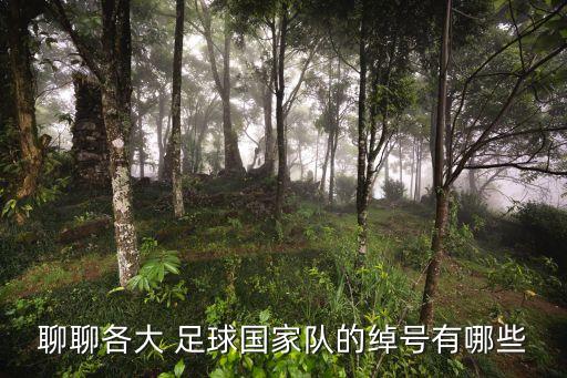 聊聊各大 足球國家隊(duì)的綽號有哪些