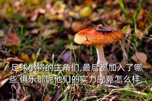 長(zhǎng)野足球俱樂(lè)部