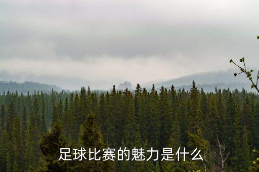 足球文化產(chǎn)業(yè)園,阿根廷足球文化簡(jiǎn)介