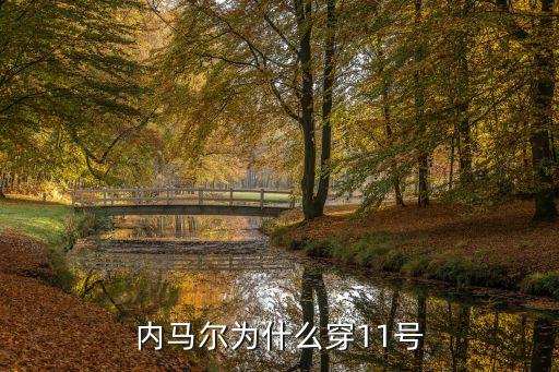巴西足球隊(duì)11號(hào)是誰,巴西國家足球隊(duì)