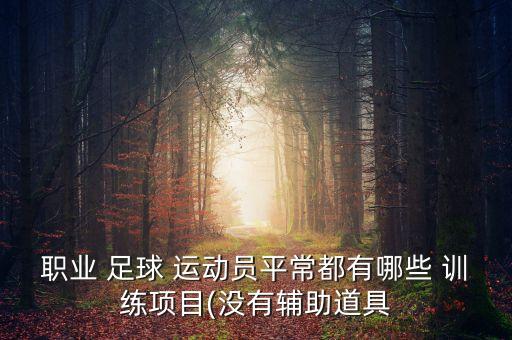 職業(yè) 足球 運(yùn)動(dòng)員平常都有哪些 訓(xùn)練項(xiàng)目(沒(méi)有輔助道具