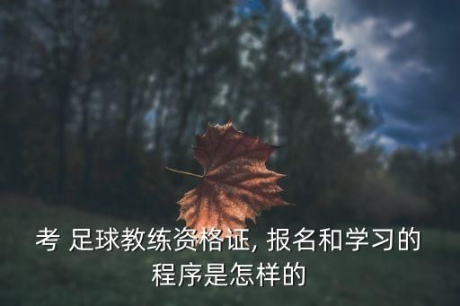 足球試訓(xùn)報(bào)名,2023足球試訓(xùn)