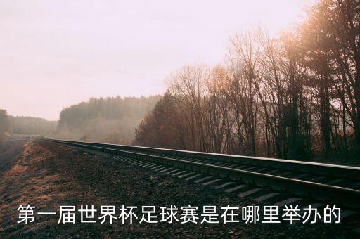 第一屆世界杯足球賽是在哪里舉辦的