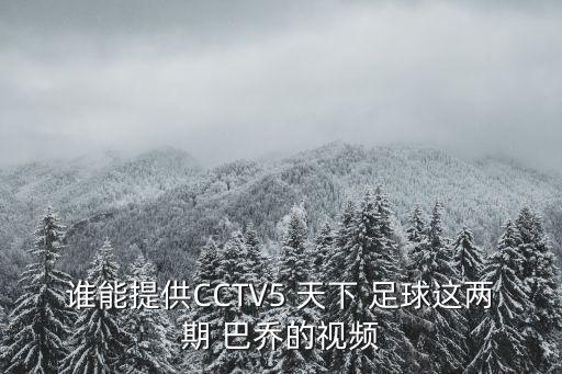 誰能提供CCTV5 天下 足球這兩期 巴喬的視頻