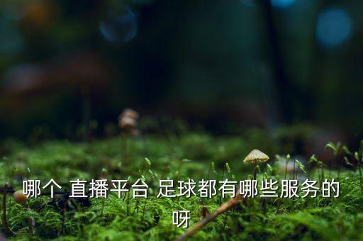 哪個 直播平臺 足球都有哪些服務的呀
