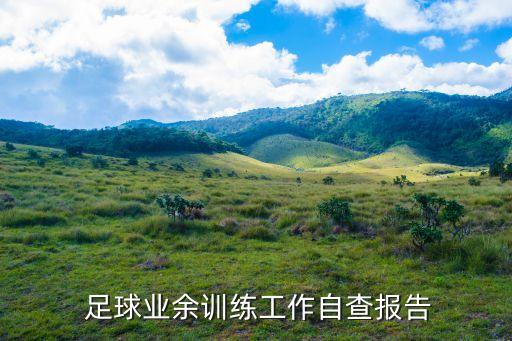  足球業(yè)余訓(xùn)練工作自查報(bào)告