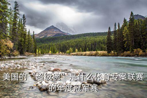 美國的“超級(jí)碗”是什么體育專案聯(lián)賽的年度冠軍賽