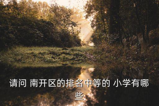 天津南開黃河道小學(xué)足球