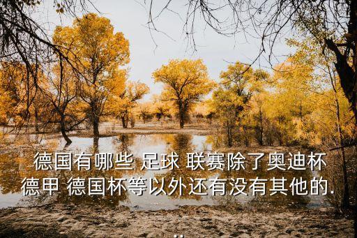  德國(guó)有哪些 足球 聯(lián)賽除了奧迪杯德甲 德國(guó)杯等以外還有沒有其他的...