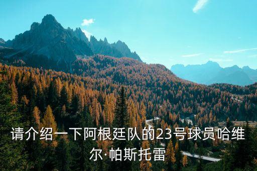 請介紹一下阿根廷隊的23號球員哈維爾·帕斯托雷