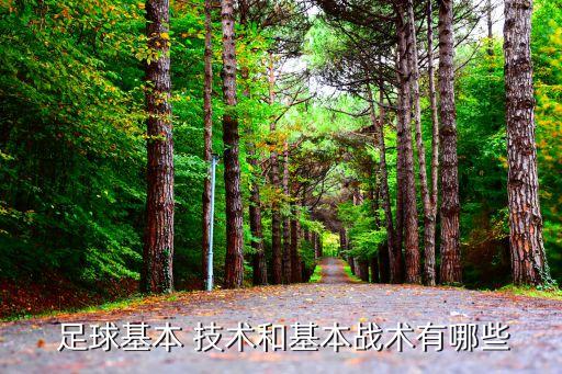  足球基本 技術和基本戰(zhàn)術有哪些