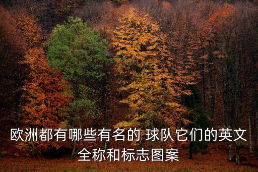 法甲足球球隊(duì)隊(duì)徽,足球隊(duì)徽是一把劍是哪支球隊(duì)