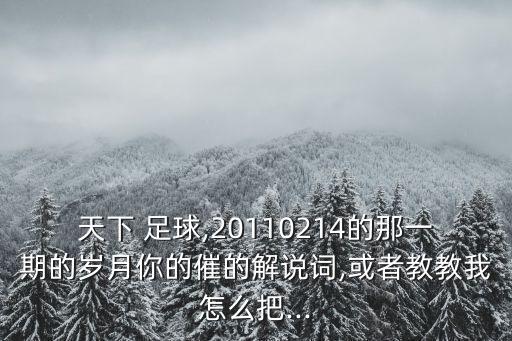 天下 足球,20110214的那一期的歲月你的催的解說詞,或者教教我怎么把...