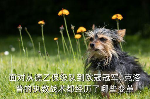 面對從德乙保級隊(duì)到歐冠冠軍, 克洛普的執(zhí)教戰(zhàn)術(shù)都經(jīng)歷了哪些變革