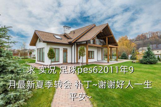 求 實(shí)況 足球pes62011年9月最新夏季轉(zhuǎn)會 補(bǔ)丁~謝謝好人一生平安~