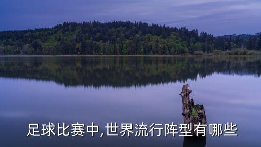  足球比賽中,世界流行陣型有哪些