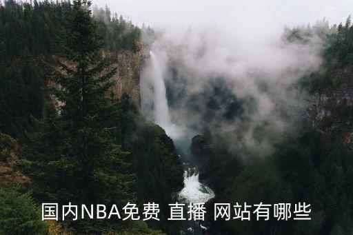 國內(nèi)NBA免費 直播 網(wǎng)站有哪些
