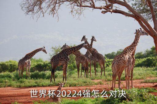 摩洛哥足球隊(duì)對葡萄牙