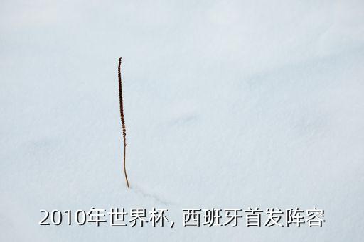 2010年世界杯, 西班牙首發(fā)陣容
